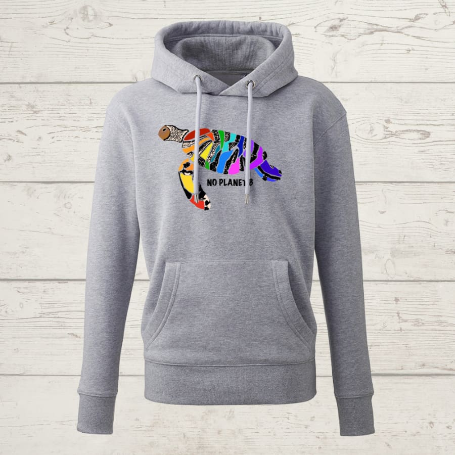 No planet b rainbow sea turtle hoody - heather grey / small