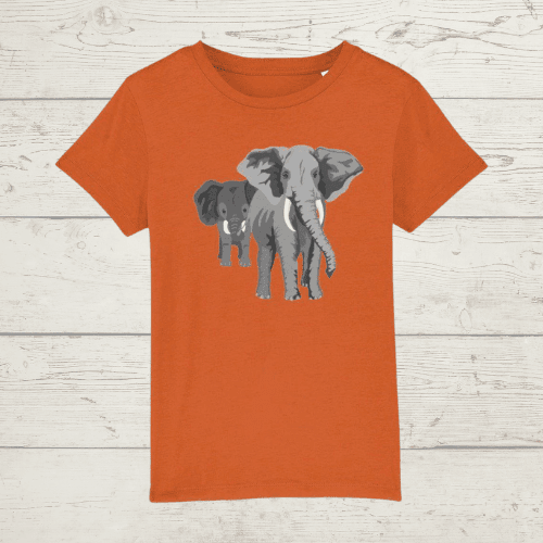 Kid’s mum and baby elephant t-shirt - bright orange / xs /